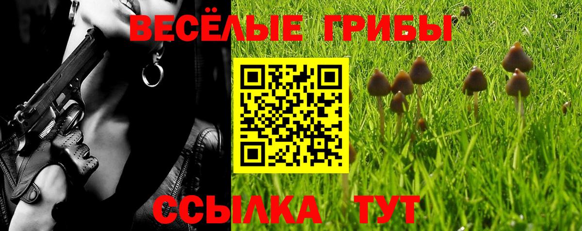 Псилоцибиновые грибы мухоморы Южно-Сахалинск
