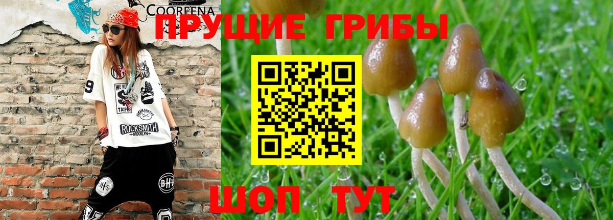 Галлюциногенные грибы MAGIC MUSHROOMS  Вход с VPN  Псилоцибиновые грибы ЛСД  Южно-Сахалинск 